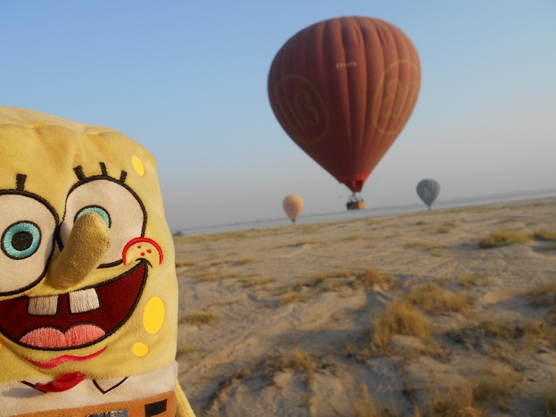 As I didn't want to travel alone, mostly in India, I got an unconventional travel buddy: SpongeBob SquarePants. This is my favorite cartoon.