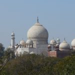 It's my last day in Agra. This same day I'm heading to Varanasi. I don't have much more to do or see nearby, so I went to Taj  Protected forest
