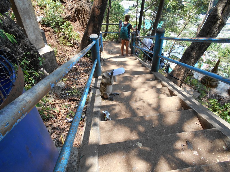 With so many things to do in Krabi, I decided to go with 2 friends to Tiger temple. The most interesting part of this place is the climb of 1237 steps.