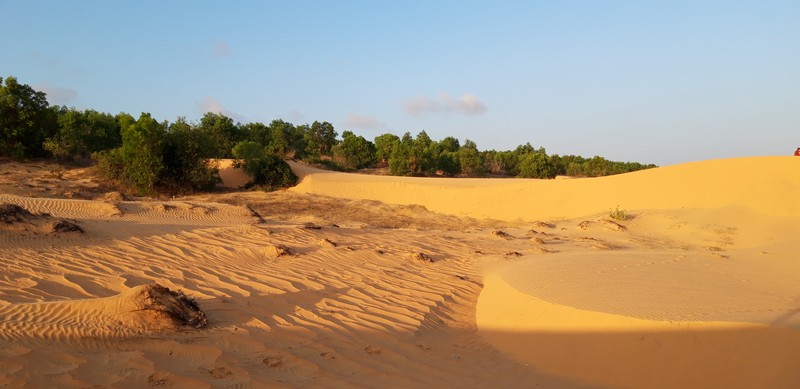 I had no idea that such a landscape that resembles a desert could be found in Vietnam at Mui Ne sand dunes, the biggest attraction in Mui Ne.