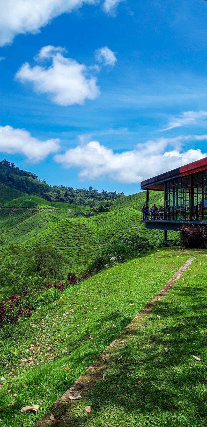 I think Cameron Highlands is not a very popular tourist destination in Malaysia.However, there are plenty of things to do in Cameron Highlands.