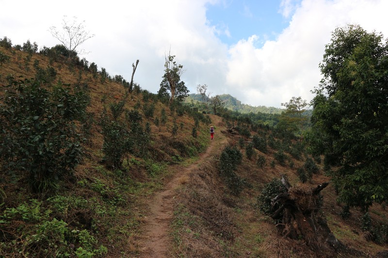 I did my Hsipaw trekking with Ko Pee, and don’t regret it at all. I’m glad I didn’t go with Mr. Bike. - Ko Pee is the name of the Hsipaw trekking company associated with Mr. Charles.