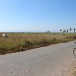 On my third day in Loikaw, I decided to visit around town by bicycle. I had a fun day anyway on this bike tour.