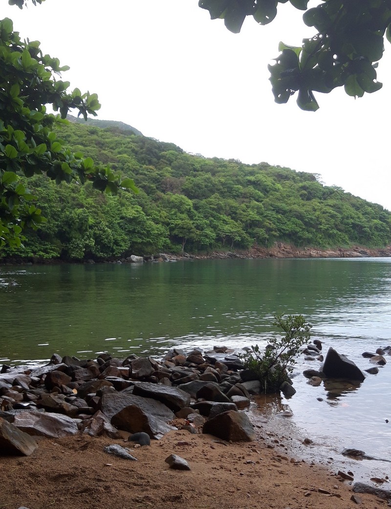 I know that Con Dao island is home to some native species that come originally from here to the rest of the world therefore, I decided to visit Con Dao National Park.