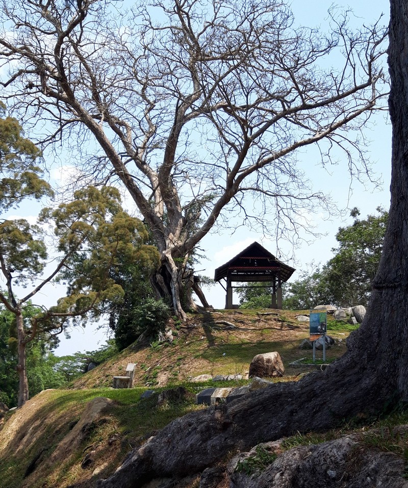 Kuala Selangor is probably a destination you've never heard of. Normal, as there isn't even much information on the web about this destination