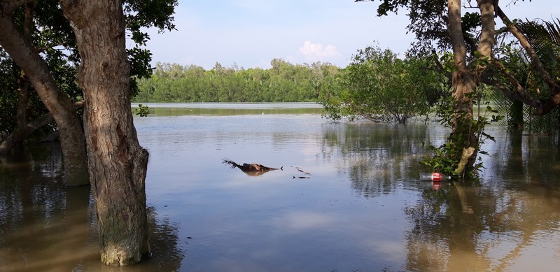 Kuala Selangor is probably a destination you've never heard of. Normal, as there isn't even much information on the web about this destination