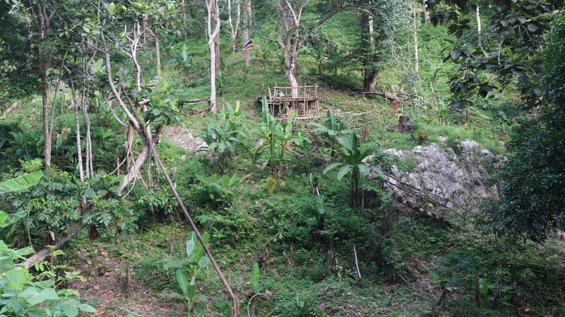Phuket has a considerable area of jungle that can also be explored, and near Patong beach, there are some possible trekking spots.