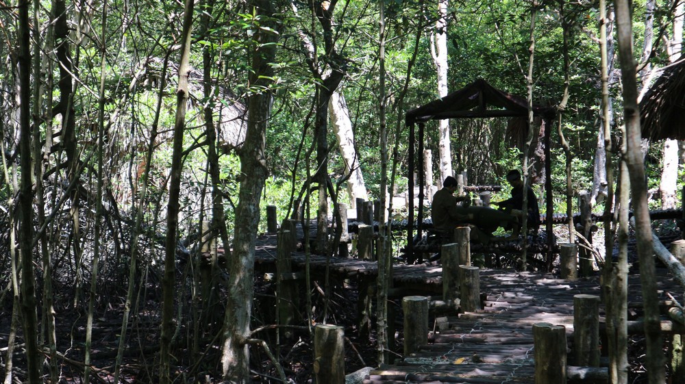Finding new spots to visit while living in Ho Chi Minh City is not that easy if you are looking for a quiet chilled nature-like place. But, there are some places that offer the tranquility of nature and Can Gio is one of them.