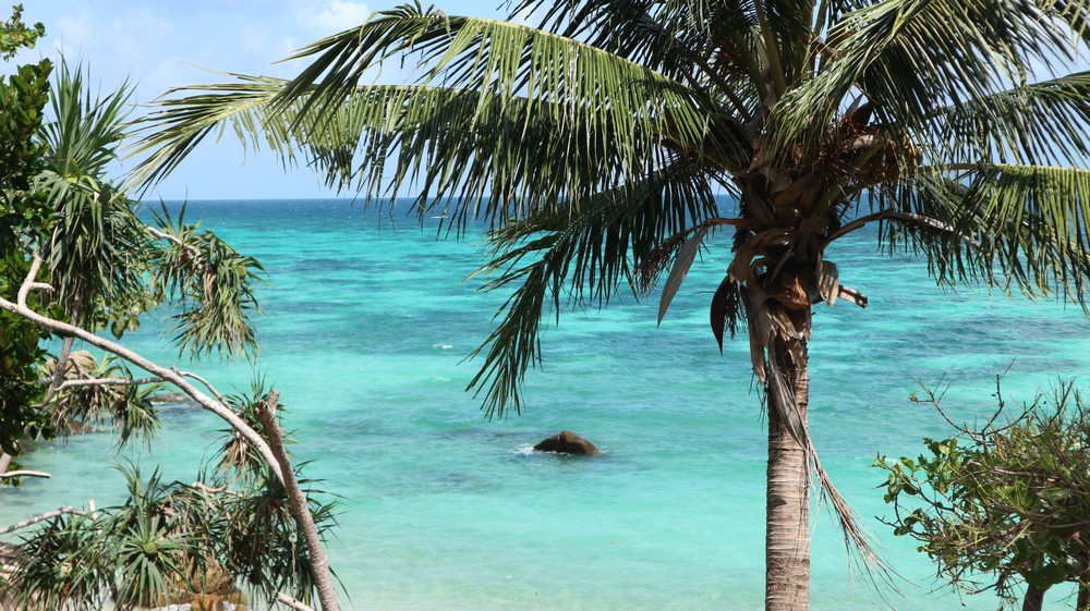 Koh Lipe was an island that was under my eye for more than 1 year. Many people say this is the most beautiful island in Thailand.