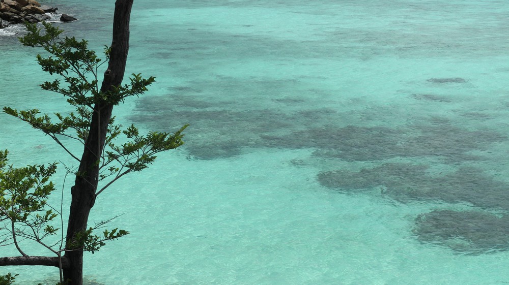 Koh Lipe was an island that was under my eye for more than 1 year. Many people say this is the most beautiful island in Thailand.