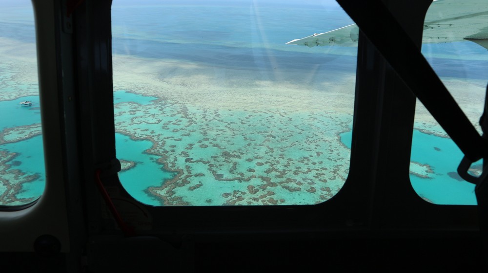 As I was in Australia and not actually planning to go back, I thought I might as well cross a dream destination out of my head: the Great Barrier Reef.