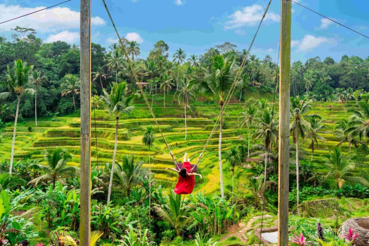 Cultural and Adventure Bali Tours: A Guide to the Island's Highlights